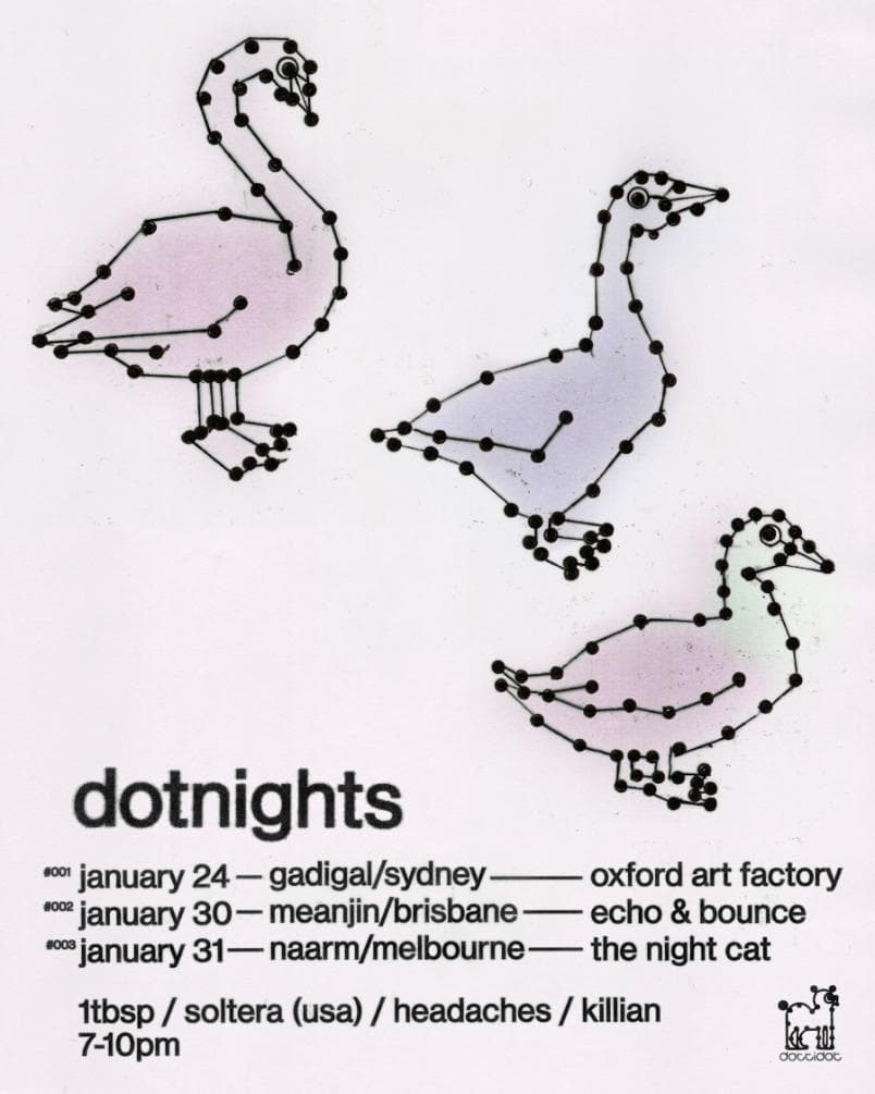 dotnight sydney jan 24